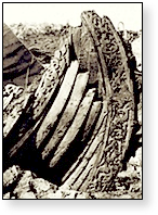 remains of a Viking longship