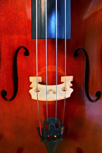 cello