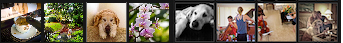 <snaps gallery>